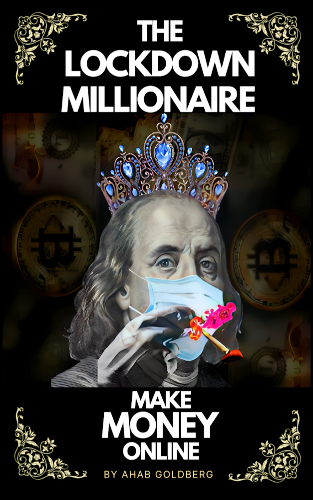 The Lockdown Millionaire Book Cover